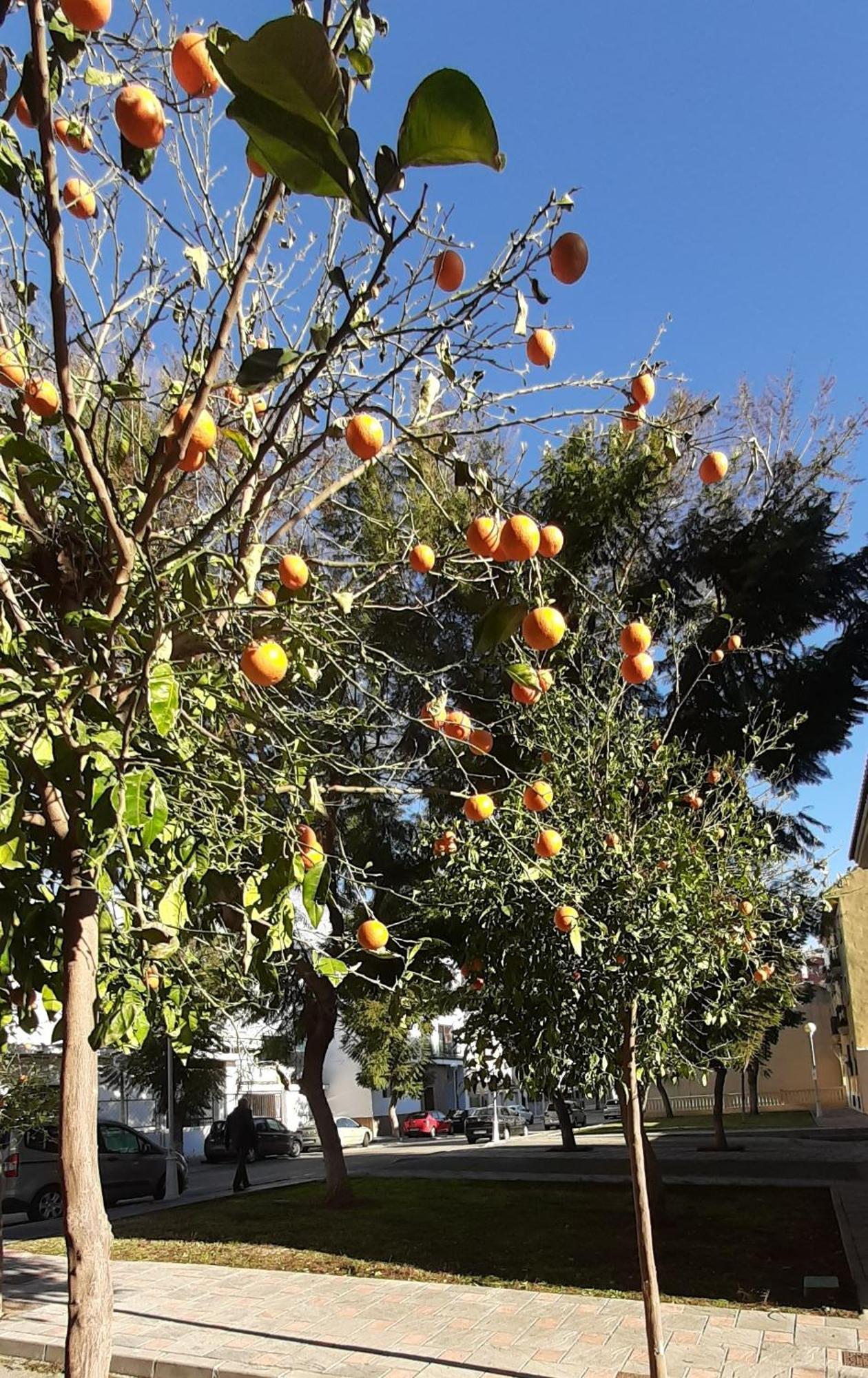 פואנגירולה Apartment Las Salinas Boliches מראה חיצוני תמונה