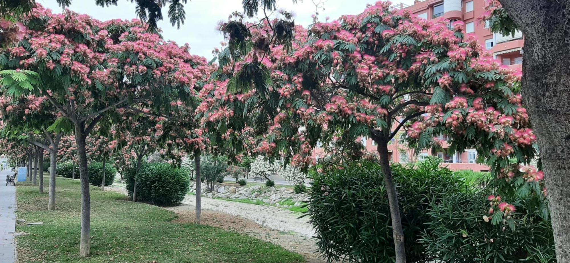 פואנגירולה Apartment Las Salinas Boliches מראה חיצוני תמונה
